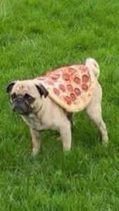 Meet your Posher, Dylan